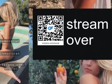 girl cam all day ocicat image #6424548