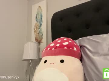 girl cam all day venusenvyx image #4464815