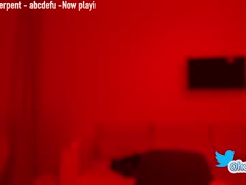 girl cam all day hollyextra image #655790