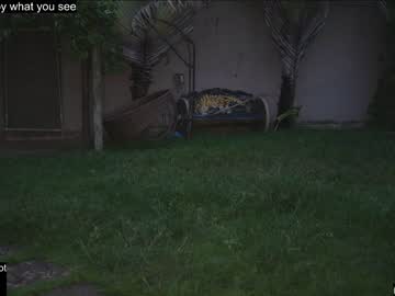girl cam all day loollypop24 image #6334844