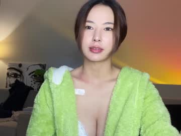 girl cam all day burmilla1 image #2629338