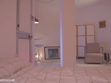 girl cam all day ocicat image #8015640