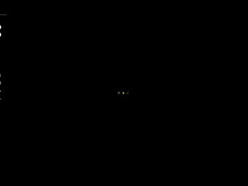 couple cam all day kathyclaytons image #9000801
