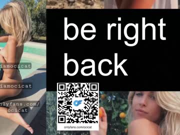 girl cam all day ocicat image #5834254