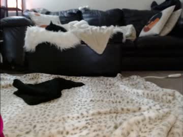 girl cam all day shastathecat image #3587092