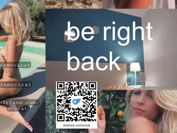girl cam all day ocicat image #5611567