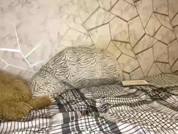 girl cam all day leleboo_x image #8410256