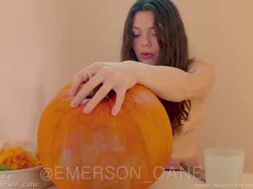 girl cam all day emersoncane image #5594883