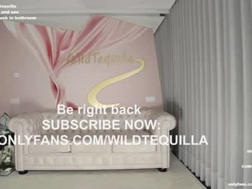 girl cam all day wildtequilla image #4848096