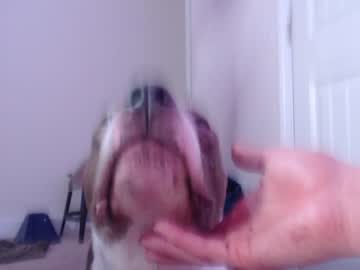 girl cam all day holihurricane image #3042007