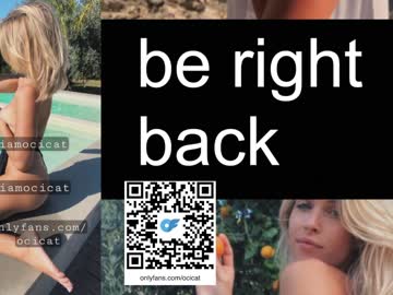 girl cam all day ocicat image #5741180