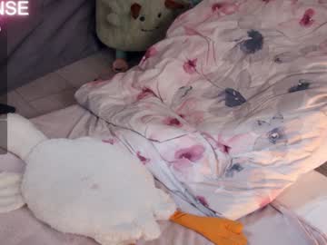 girl cam all day careful_i_bite image #7301527