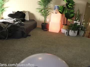 man cam all day bluecoffee image #1403428