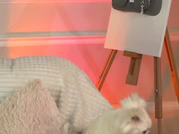 girl cam all day ella_knockers_xl image #8007077