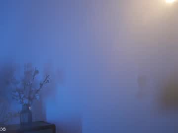girl cam all day lettymoa image #9432415