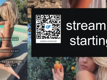 girl cam all day ocicat image #6415954