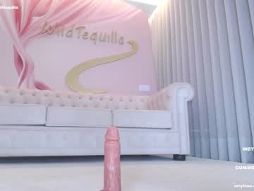 girl cam all day wildtequilla image #5654064