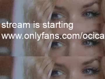 girl cam all day ocicat image #3386205