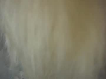 tranny cam all day touch_me_if_you_can image #4026615