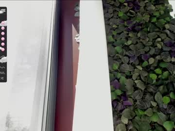 girl cam all day sassyt33n image #2376818