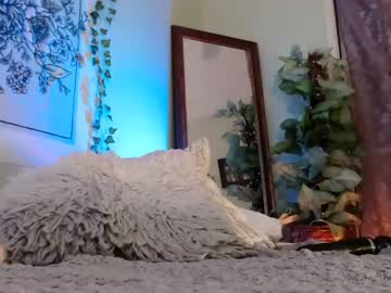 Cam for pennypixie