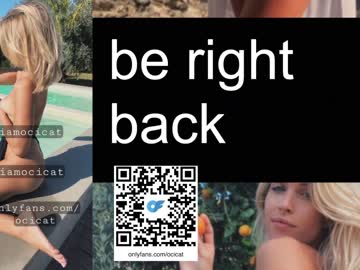 girl cam all day ocicat image #5848768