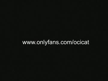 girl cam all day ocicat image #4885853