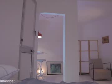 girl cam all day ocicat image #7996722