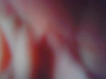couple cam all day sweetpussy1311 image #4785787