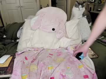 girl cam all day eve003300 image #8713504