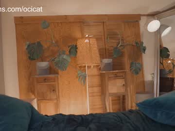 girl cam all day ocicat image #4985781