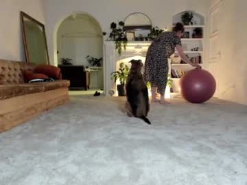 girl cam all day pretendlunch image #1720478