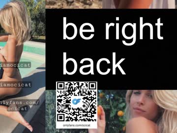 girl cam all day ocicat image #5834061