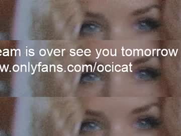 girl cam all day ocicat image #3386434
