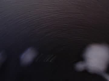 man cam all day ttwinkfun image #1548631