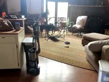 girl cam all day emersoncane image #4247520