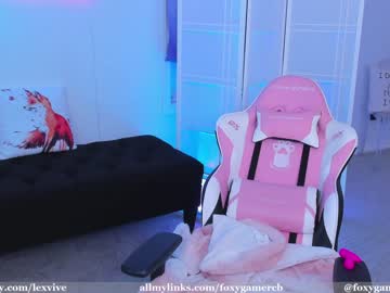 girl cam all day foxy_gamer image #2389954