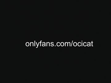 girl cam all day ocicat image #8412904