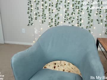 girl cam all day circeeve image #2246335