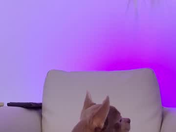 girl cam all day sapphirealice image #249339