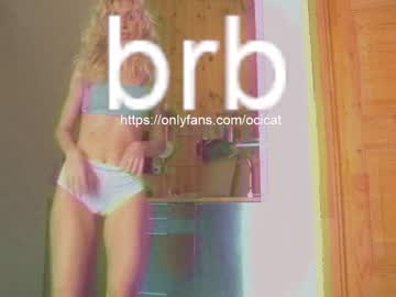 girl cam all day ocicat image #2739471