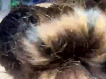 couple cam all day thatonebihhxxo image #8229605