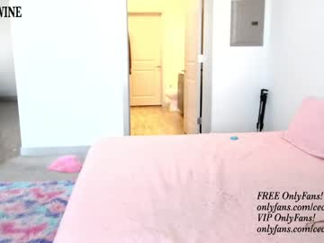 girl cam all day princess_cece image #4786111
