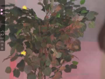 girl cam all day oki_dokie image #5585281