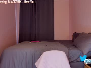 girl cam all day hollyextra image #2543111