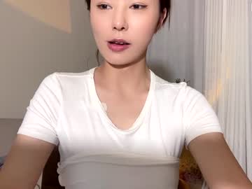 girl cam all day burmilla1 image #3246358