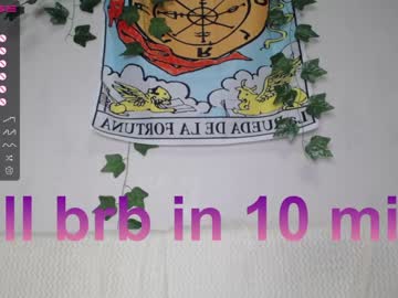 girl cam all day shycinderella image #3603199