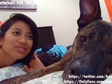 girl cam all day hawaiigirl_ image #2810925