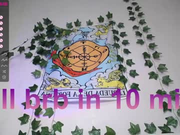 girl cam all day shycinderella image #3460396