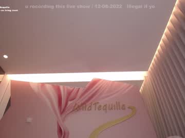 girl cam all day wildtequilla image #2438110
